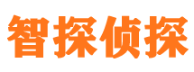 靖宇市婚外情调查